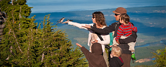 a family holding out their hands to feed a bird, the Whiskey Jack