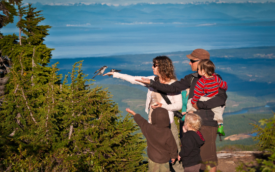 a family holding out their hands to feed a bird, the Whiskey Jack